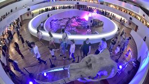 La Noche de los Museos. (Facundo Luque / La Voz)