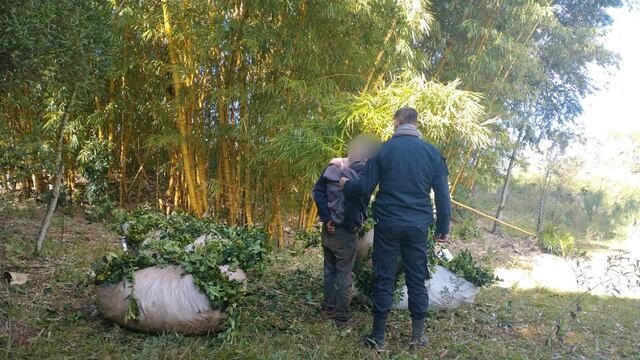 Dos de Mayo: interceptaron a un hombre que intentaba robar raídos de yerba. Policía de Misiones