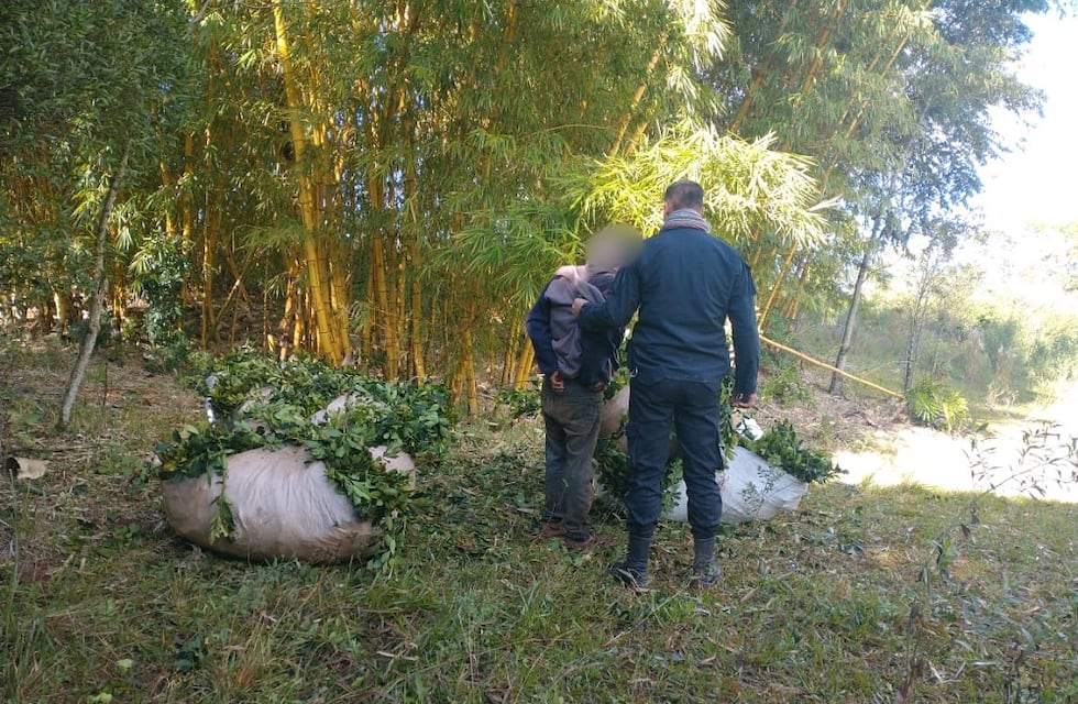 Dos de Mayo: interceptaron a un hombre que intentaba robar raídos de yerba
