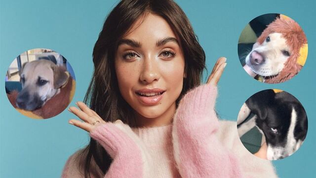 María Becerra nombró a sus perras como a 3 famosas cantantes de cumbia