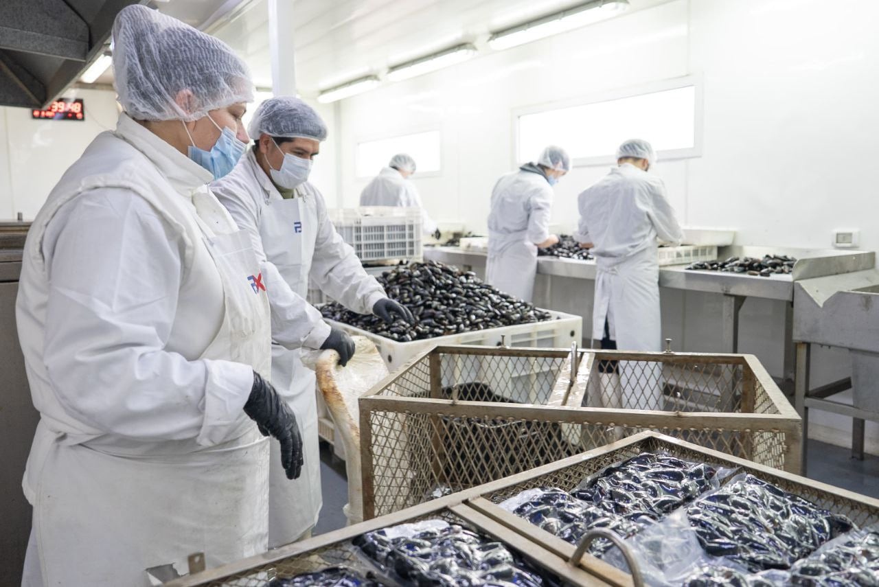 streaming “Industria en Vivo”, segundo episodio del ciclo.