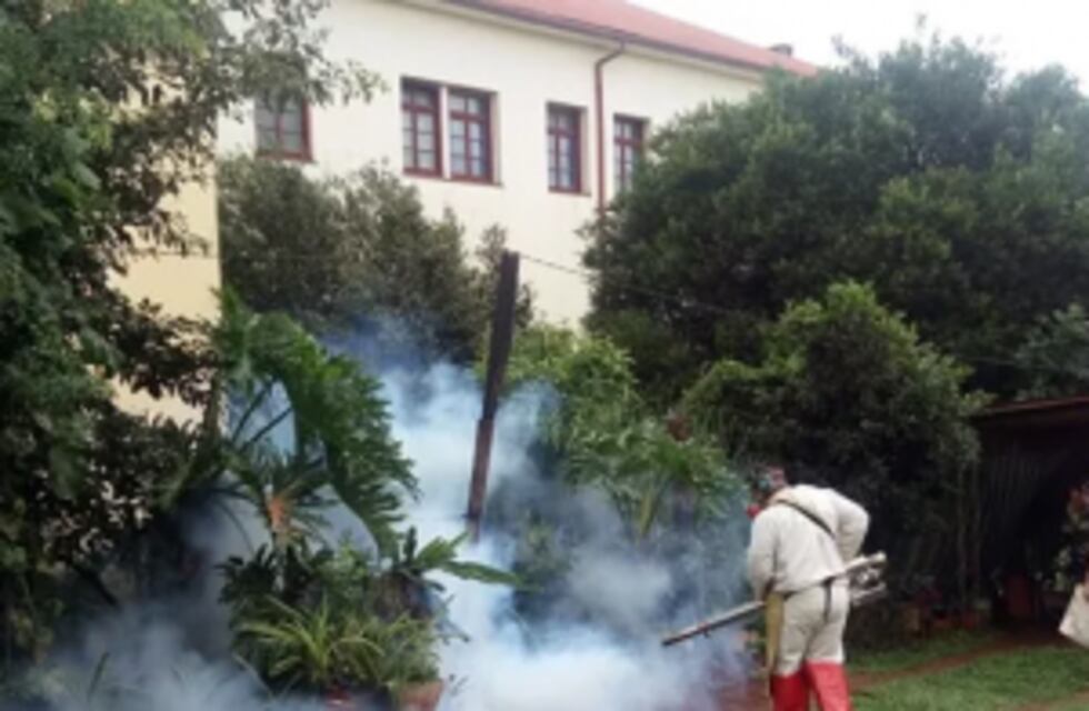 Regreso a clases: continúan con tareas de fumigación en establecimiento escolares