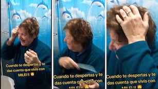 “Cuando te despertás y te das cuenta que vivís con Milei”: el divertido video que la rompe en Tiktok