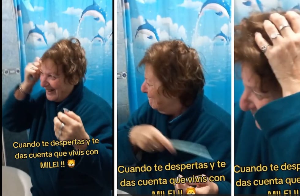 “Cuando te despertás y te das cuenta que vivís con Milei”: el divertido video viral en Tiktok