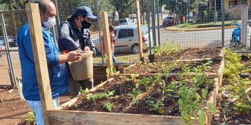 Desde el Instituto de Medicina Física y Rehabilitación apuestan a la producción agroecológica.