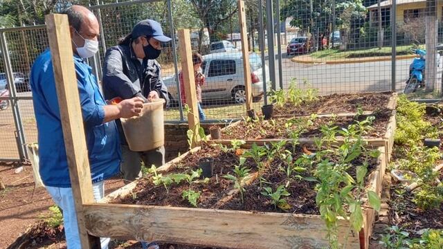 Desde el Instituto de Medicina Física y Rehabilitación apuestan a la producción agroecológica.