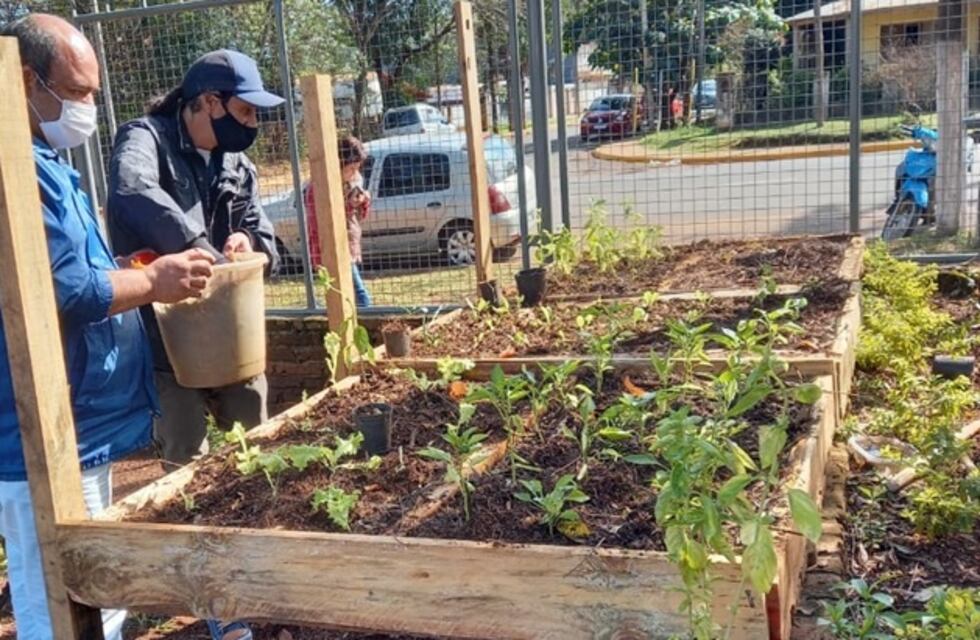 Desde el Instituto de Medicina Física y Rehabilitación apuestan a la producción agroecológica
