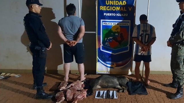 Comandante Andresito: secuestran carne faenada nativa transportada en un automóvil.