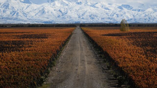 Los postales invernales de Mendoza son muy atractivos para aquellos que están planeando unas futuras vacaciones.
