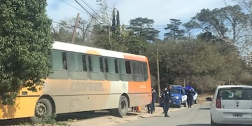 El chofer se desvaneció e impactó contra un árbol.