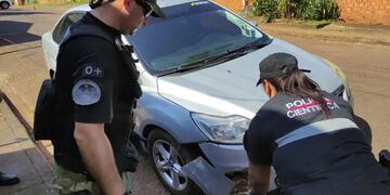 Detuvieron a un joven acusado de atropellar y matar a un puma en Puerto Iguazú.