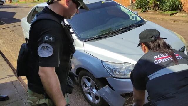 Detuvieron a un joven acusado de atropellar y matar a un puma en Puerto Iguazú.