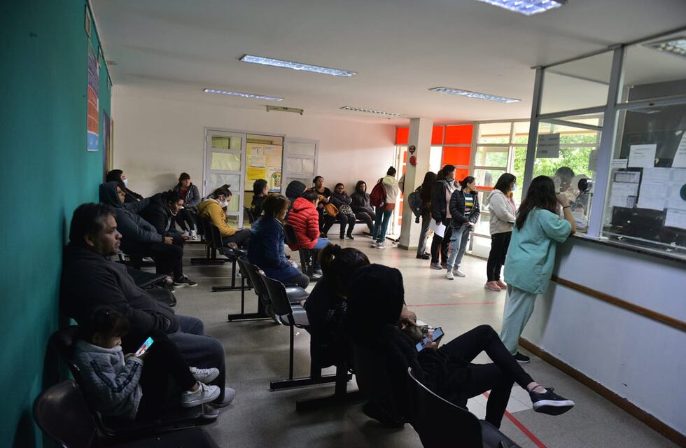 Brote histórico de dengue en Córdoba: se reportaron más de 14.000 casos en una semana