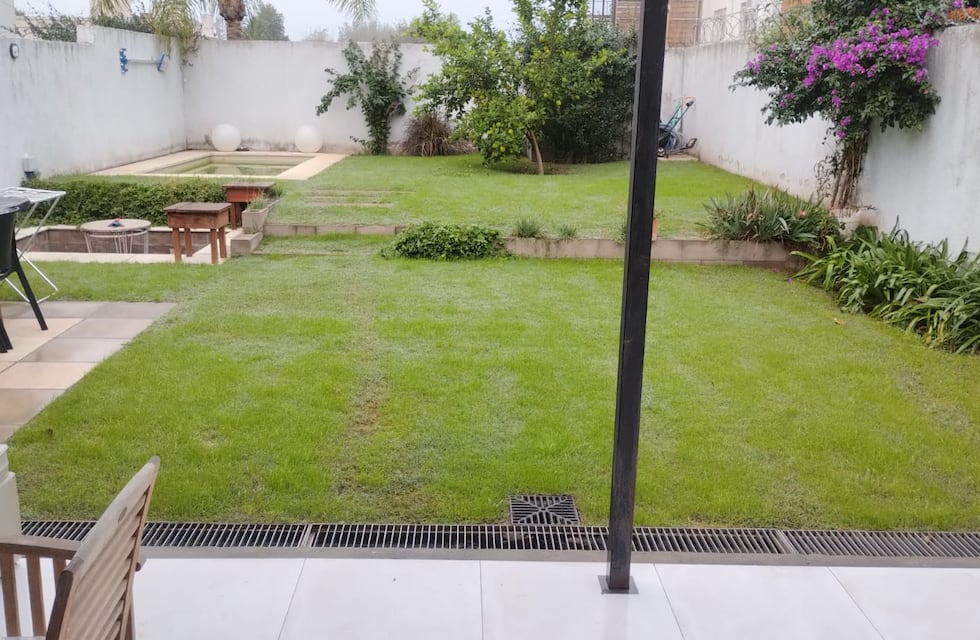 El dueño no le pagó las mejoras: tapó la pileta, levantó las baldosas y se llevó el limonero en Córdoba