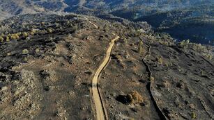 Villa Yacanto, más de 12 mil hectáreas quemadas. (La Voz)