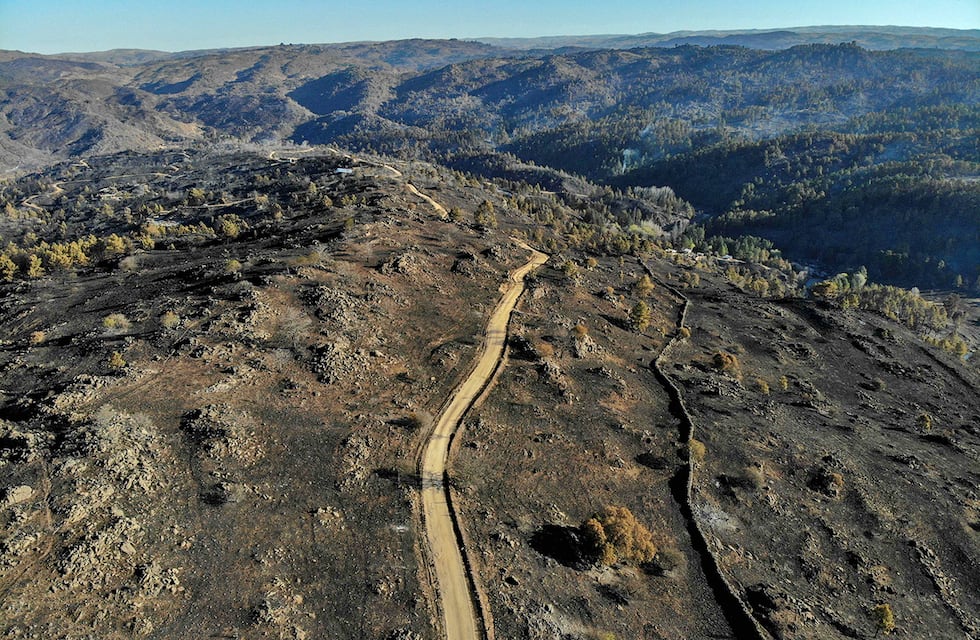 En lo que va del 2024, se quemaron más de 76.000 hectáreas tras el paso del fuego en Córdoba