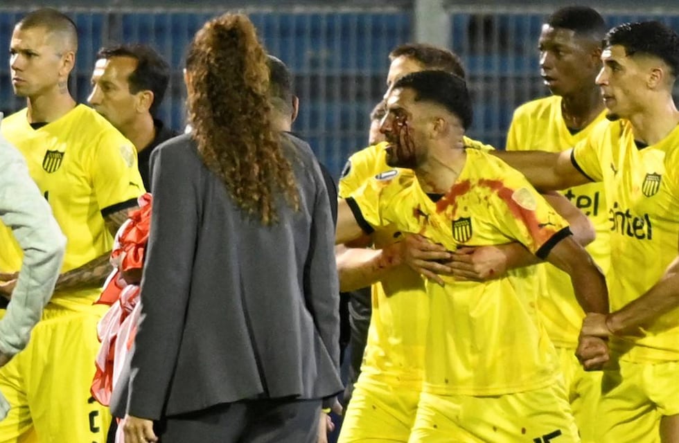 Disturbios en Copa Libertadores: hincha de Rosario Central paga 12 millones de pesos