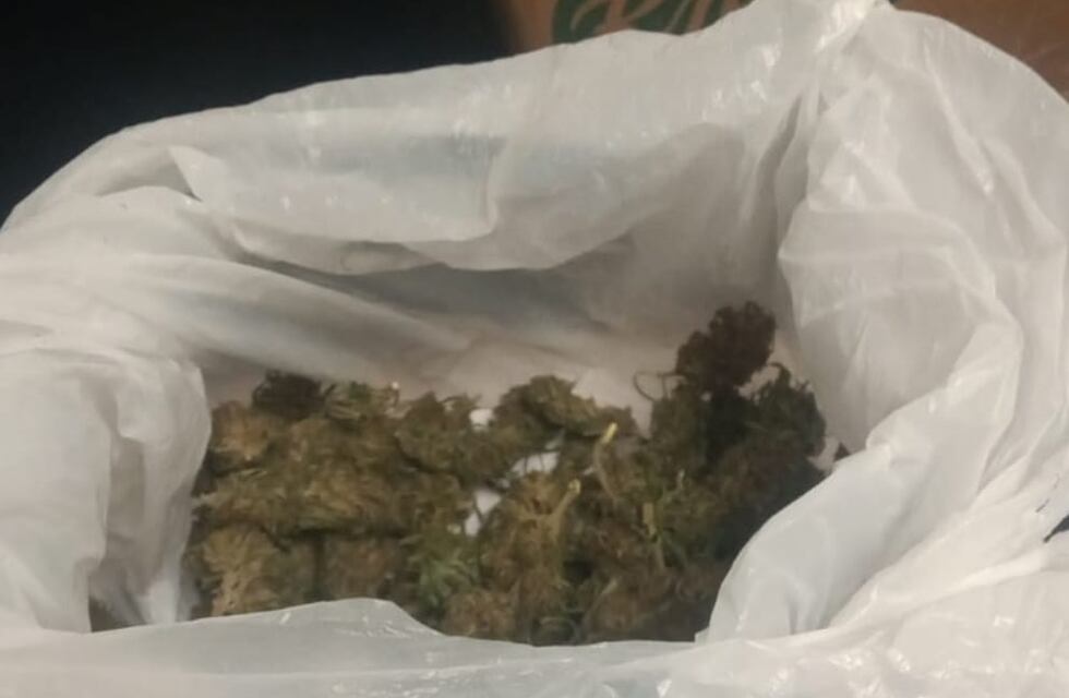 Secuestran Marihuana en un operativo policial en Tres Arroyos
