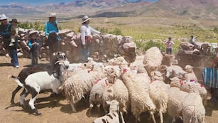 El ministro Juan Carlos Abud Robles subrayó la importancia de reconocer el esfuerzo y la resiliencia de las mujeres que impulsan el desarrollo productivo jujeño.