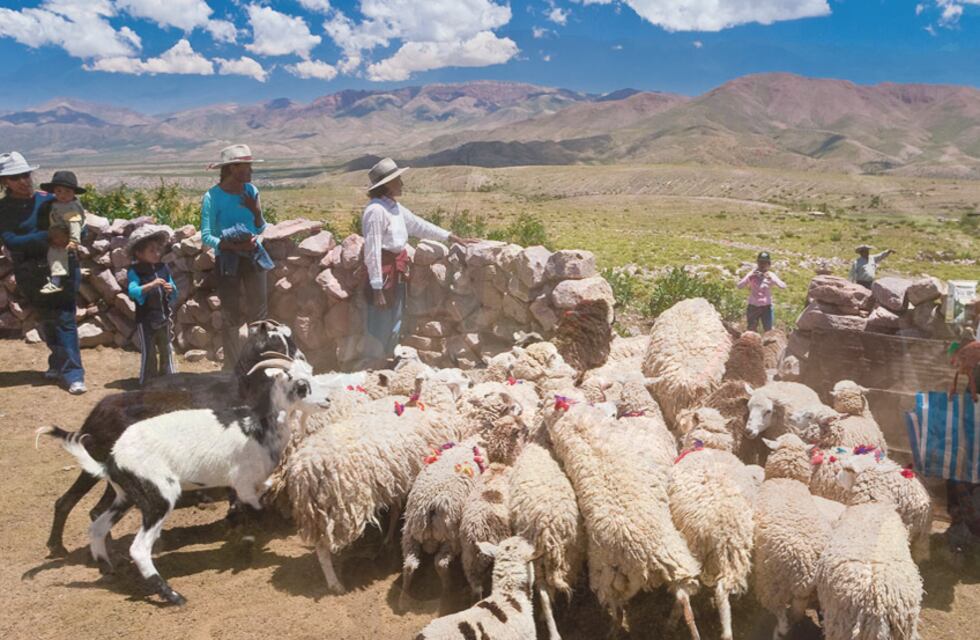 Dato revelador: en Jujuy, 40% de las explotaciones agrarias son conducidas por mujeres
