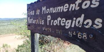 Este domingo se realizará otra edición de la Peña Ambiental en San Ignacio