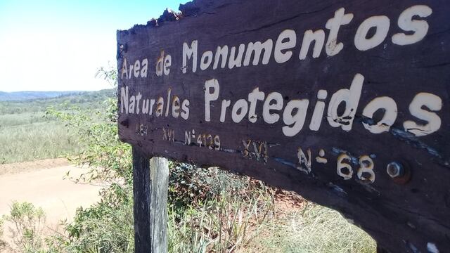 Este domingo se realizará otra edición de la Peña Ambiental en San Ignacio