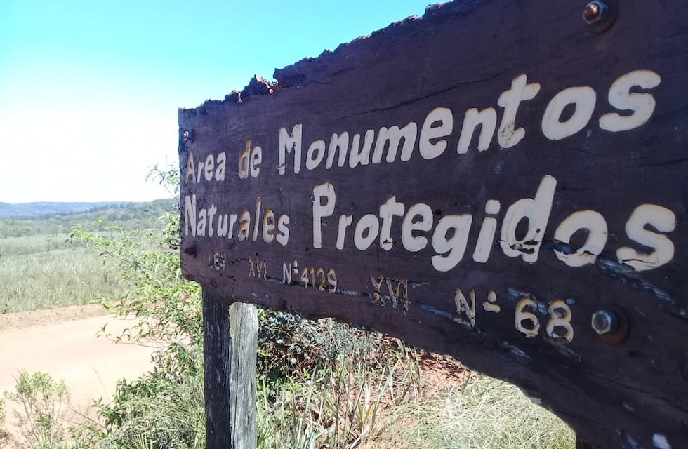 Este domingo se realizará otra edición de la Peña Ambiental en San Ignacio