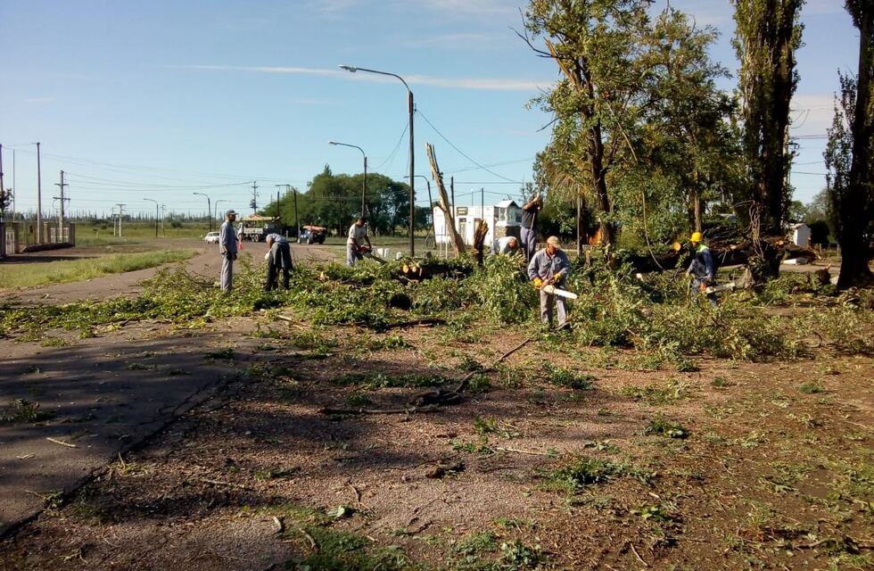 El granizo provocó daños de hasta el 100 por ciento en cultivos de San Rafael