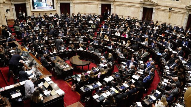 Debate de la Ley Bases en la Cámara de Diputados (Foto: Federico López Claro)