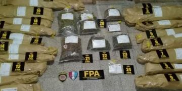 Las plantas de marihuana estaban en el fondo de una casa en San Francisco\u002E (FPA)