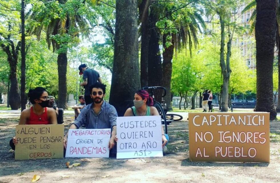 Ambientalistas realizaron una protesta frente a la Casa de Gobierno