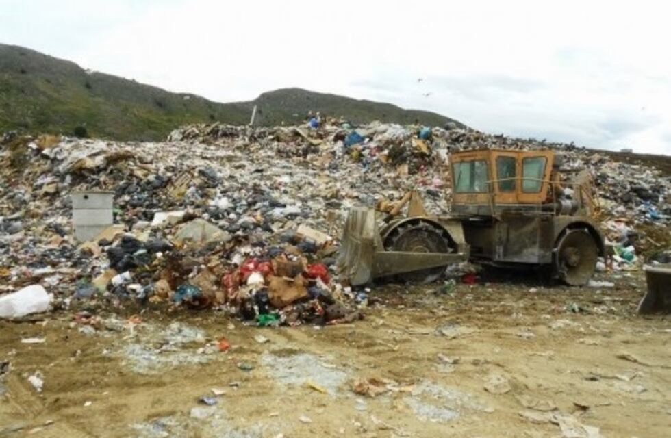 Sorprendente hallazgo en el basural