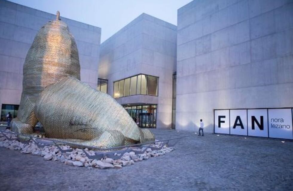 Muestra científica e interactiva en el Museo MAR de la ciudad de Mar del Plata