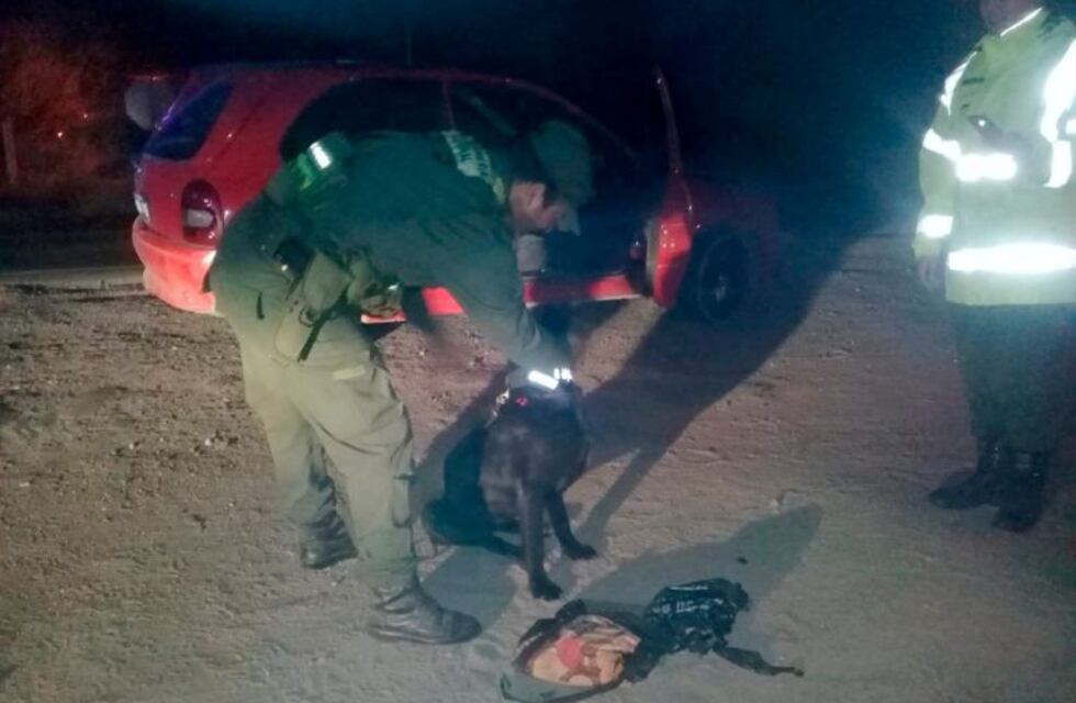 El perro "Inca" encontró casi tres kilos de marihuana en un control de ruta