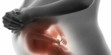 La madre puso su vientre para que sus amigos pudieran concretar el sueño de tener su hijo\u002E