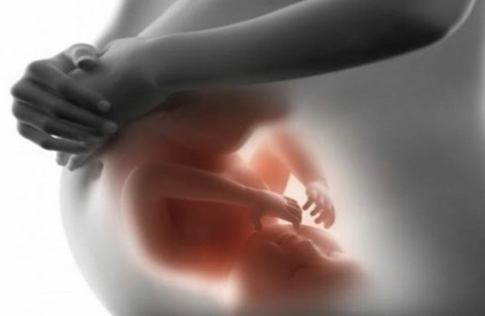 Fallo inédito en Córdoba: permiten que una pareja de varones anote un hijo gestado por una amiga