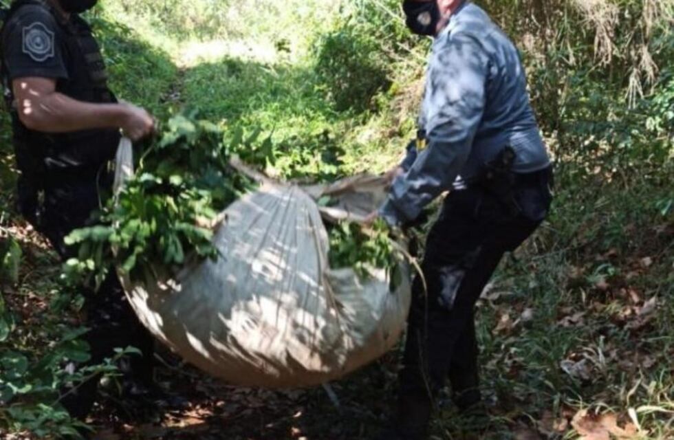 Nuevo intento de robo de yerba mate en Oberá