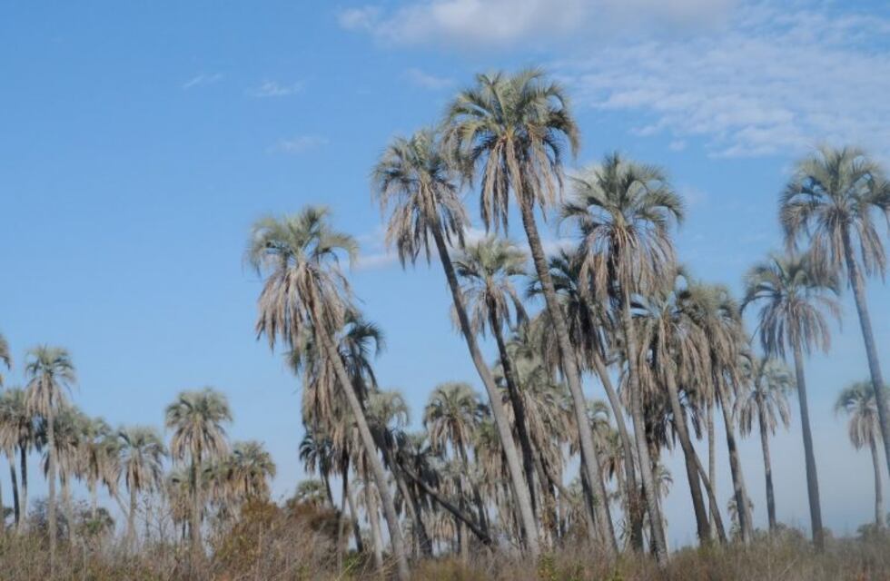 Cómo será la reactivación del turismo en Entre Ríos