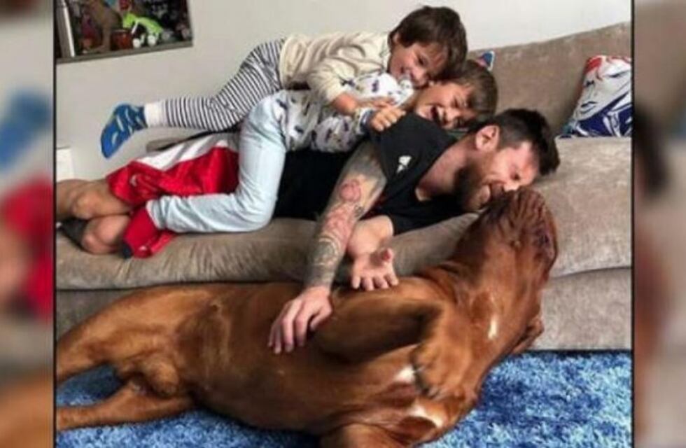 ¡Lo bailaron a Hulk! El divertido video de Lio Messi jugando con Thiago, Mateo y su perro