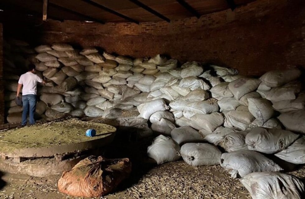 Ameginho y Campo Viera: el INYM intervino alrededor de 90 mil kilos de palo de yerba