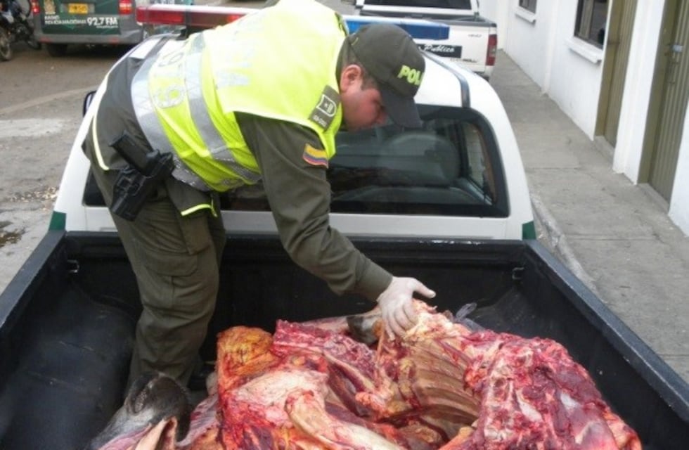 San Rafael: fueron detenidos por transportar carne 'floja de papeles'
