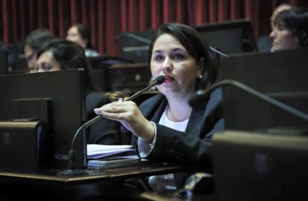 Ana Almirón expuso su voto a favor de la despenalización del aborto