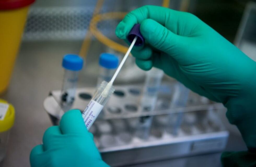 Detectaron 12 casos nuevos de coronavirus en Paso de los Libres