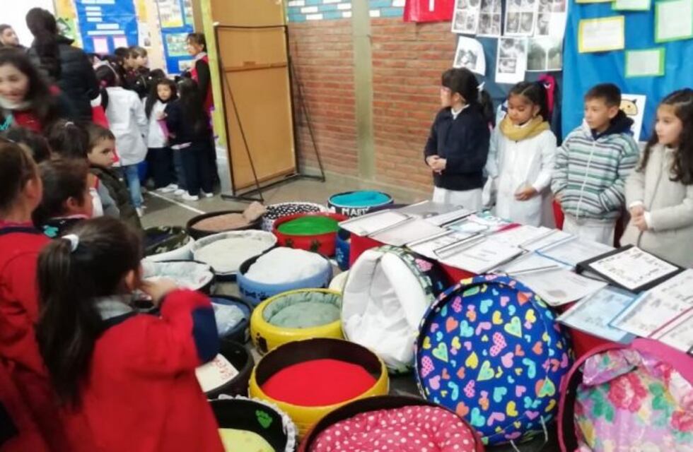Alumnos de una escuela salteña fabricaron cuchas para perritos en adopción