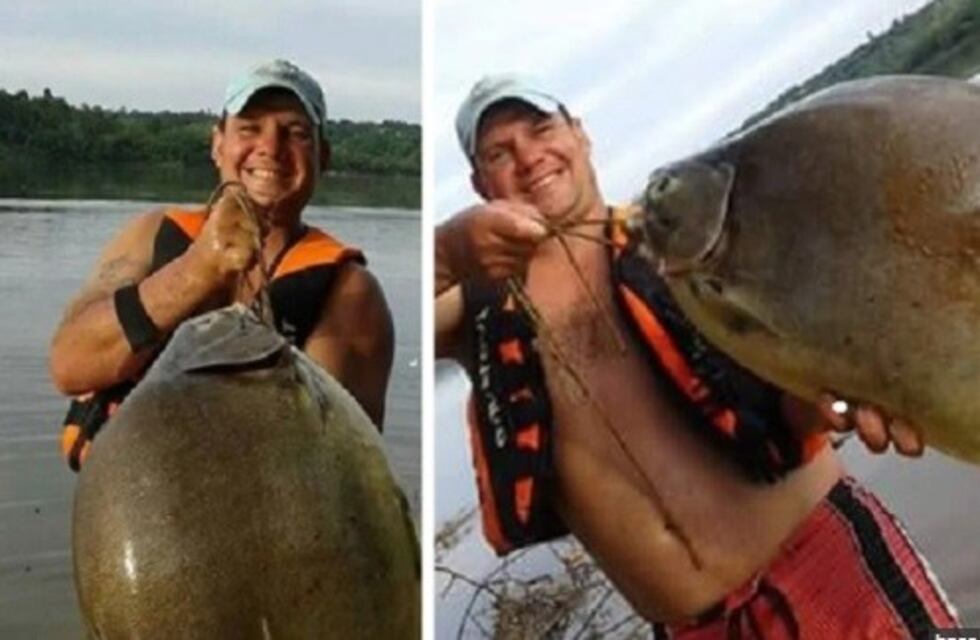 Hazaña de pesca en Puerto Rico: sacaron un pacú de 26 kilos