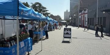 Volvió el Mercado en tu barrio a Paraná: estará este miércoles en la peatonal