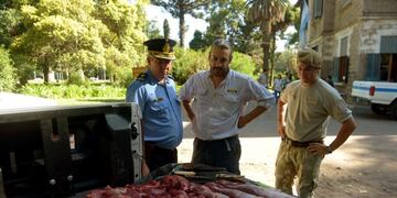 Cazadores furtivos venden carne de guanaco para consumo humano