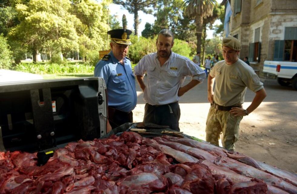 Cazadores furtivos venden guanacos para consumo humano