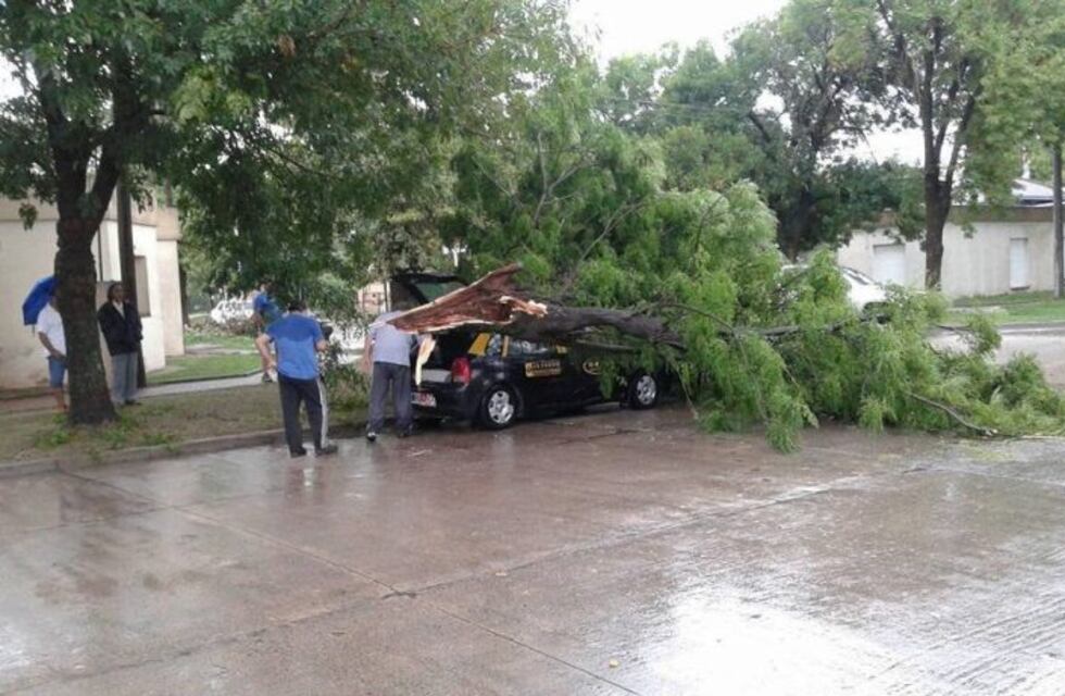 Postes y árboles caídos, calles inundadas, cortes de luz y otros daños por la tormenta en Río Cuarto