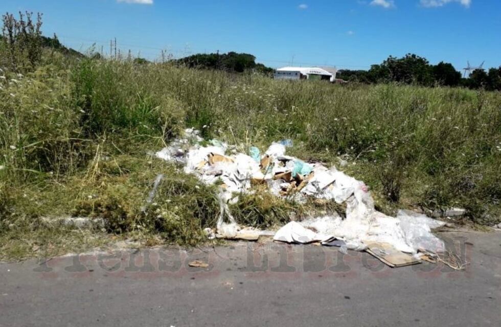 Yuyos altos y basura: indignación en barrio Mitre por el estado de los baldíos